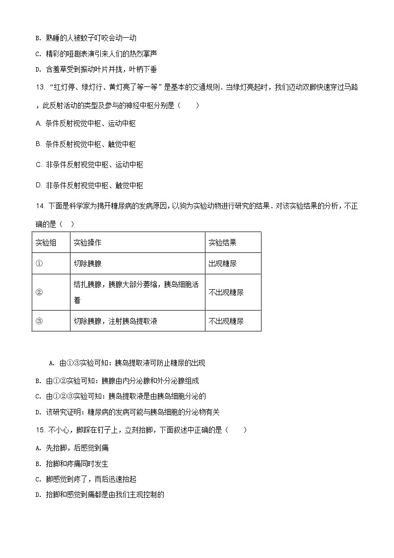 北师大版七年级下册生物巩固训练 第12章 人体的自我调节（解析版）03