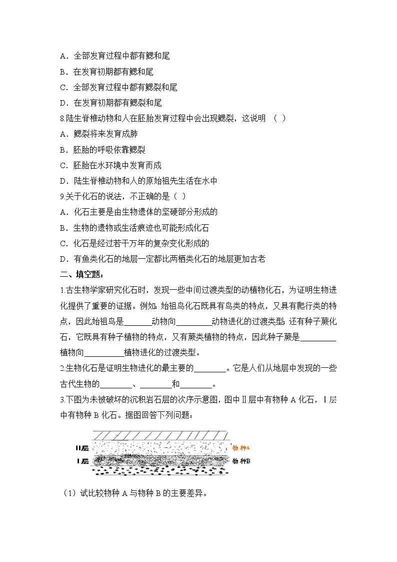 济南版生物八年级下册：《生物进化的证据》试卷（含答案）02
