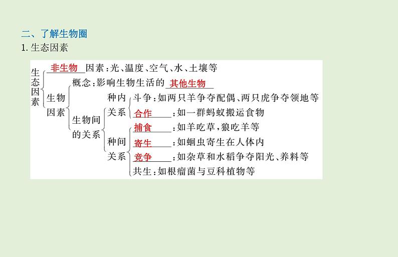2021年春人教版生物中考教材梳理：第1单元 生物和生物圈 课件04