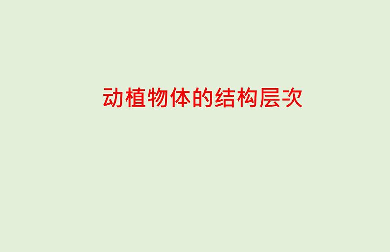 2021年春人教版生物中考教材梳理：第2单元 动植物体的结构层次  课件01