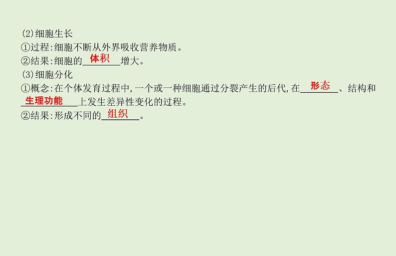 2021年春人教版生物中考教材梳理：第2单元 动植物体的结构层次  课件03