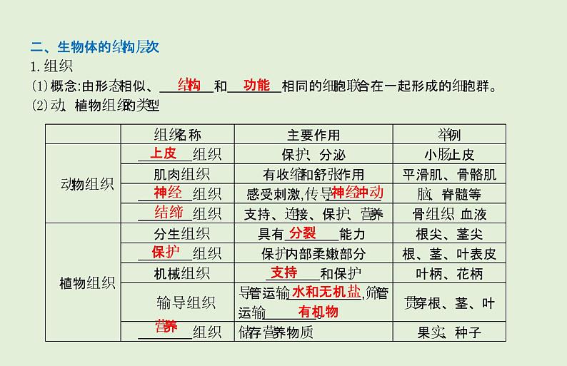 2021年春人教版生物中考教材梳理：第2单元 动植物体的结构层次  课件04