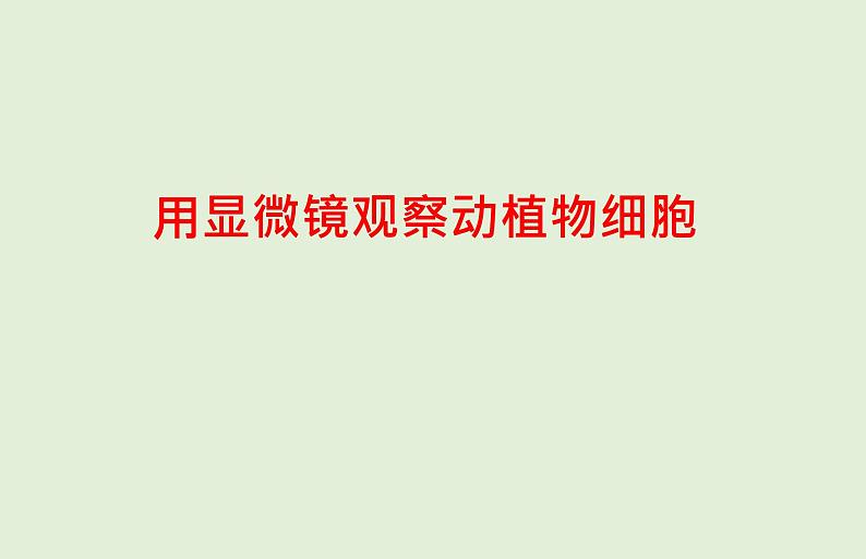 2021年春人教版生物中考教材梳理：第2单元 用显微镜观察动植物细胞  课件01