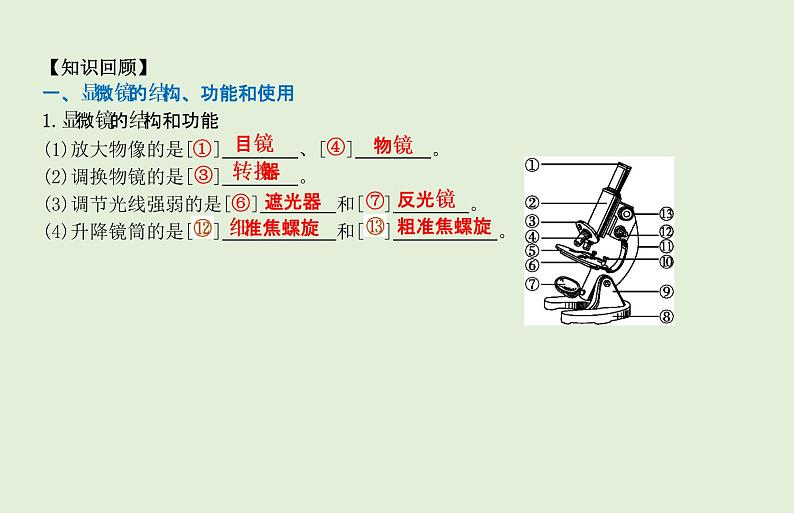 2021年春人教版生物中考教材梳理：第2单元 用显微镜观察动植物细胞  课件02