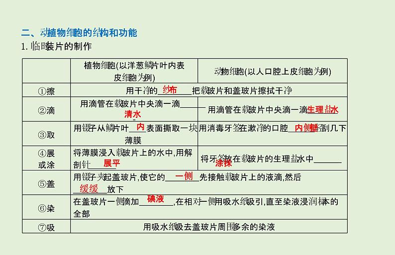 2021年春人教版生物中考教材梳理：第2单元 用显微镜观察动植物细胞  课件04