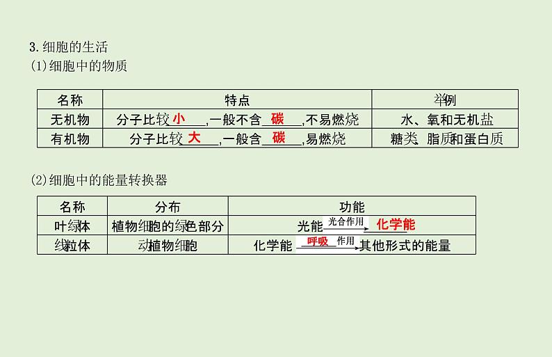 2021年春人教版生物中考教材梳理：第2单元 用显微镜观察动植物细胞  课件06