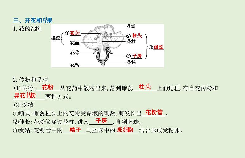 2021年春人教版生物中考教材梳理：第3单元 被子植物的一生  课件05