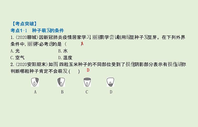 2021年春人教版生物中考教材梳理：第3单元 被子植物的一生  课件07