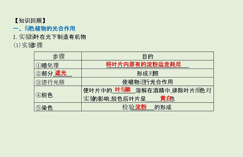 2021年春人教版生物中考教材梳理：第3单元 光合作用和呼吸作用  课件02