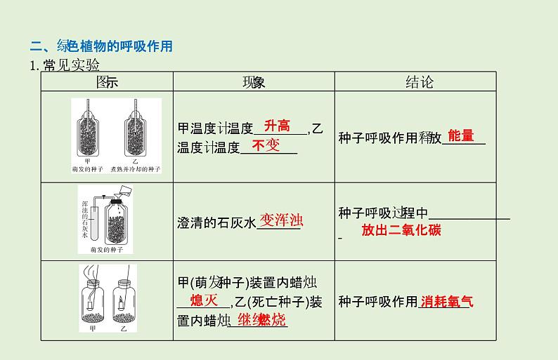 2021年春人教版生物中考教材梳理：第3单元 光合作用和呼吸作用  课件05