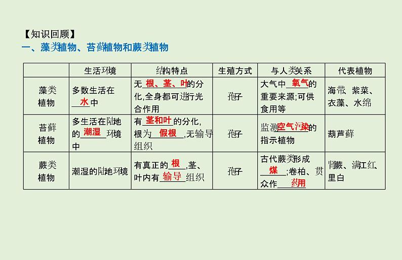 2021年春人教版生物中考教材梳理：第3单元 植物的种类及种子的结构  课件02