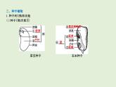 2021年春人教版生物中考教材梳理：第3单元 植物的种类及种子的结构  课件