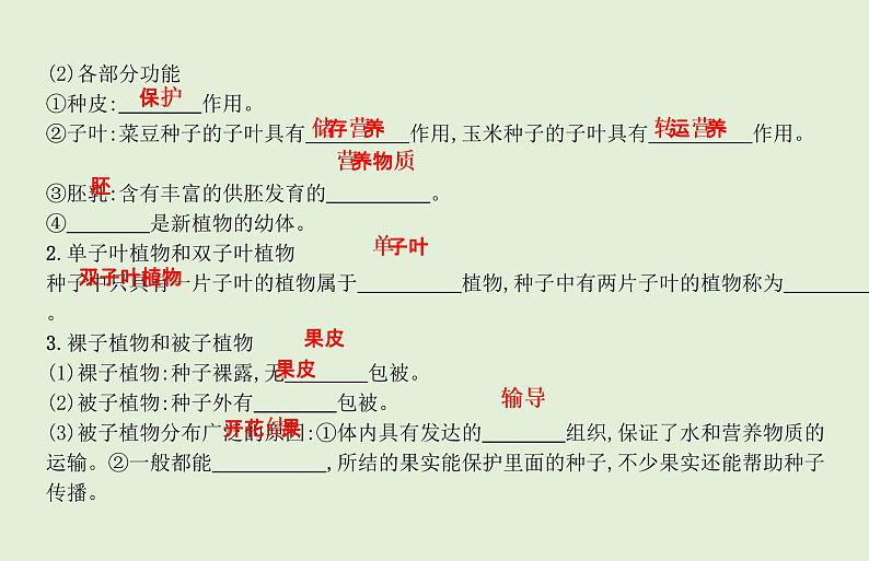 2021年春人教版生物中考教材梳理：第3单元 植物的种类及种子的结构  课件04