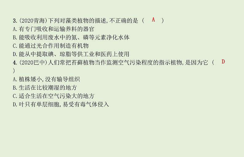 2021年春人教版生物中考教材梳理：第3单元 植物的种类及种子的结构  课件06