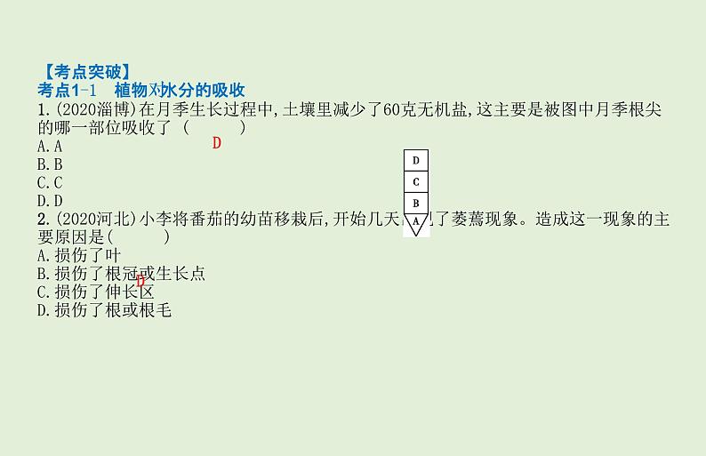 2021年春人教版生物中考教材梳理：第3单元 绿色植物与生物圈的水循环  课件08