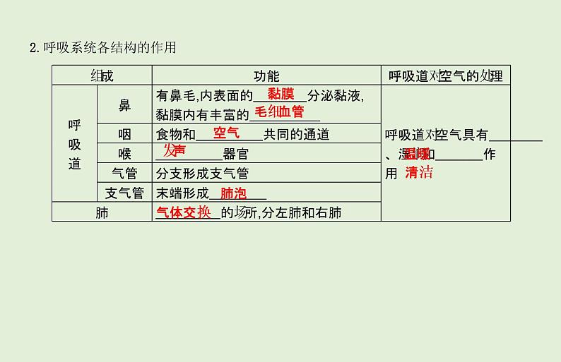 2021年春人教版生物中考教材梳理：第4单元 人体的呼吸  课件03