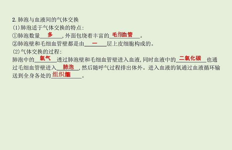 2021年春人教版生物中考教材梳理：第4单元 人体的呼吸  课件05