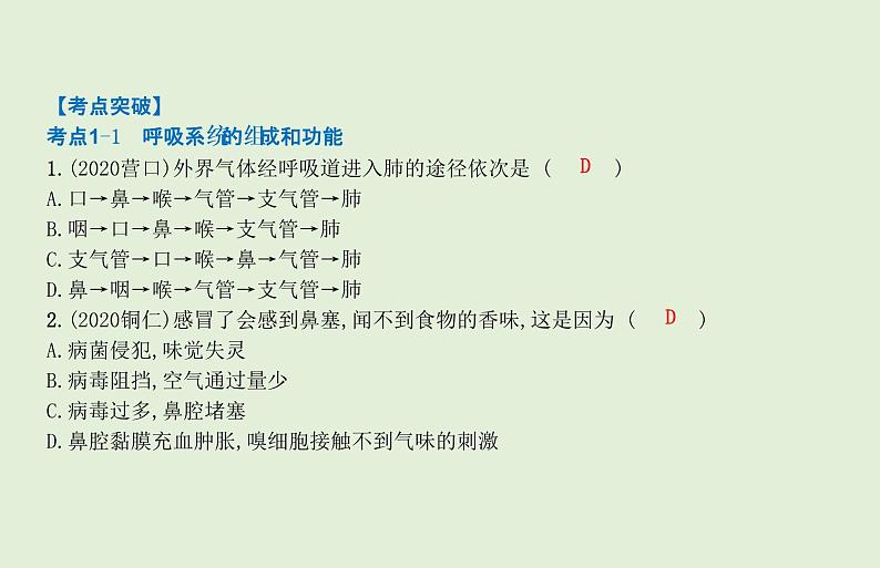 2021年春人教版生物中考教材梳理：第4单元 人体的呼吸  课件06