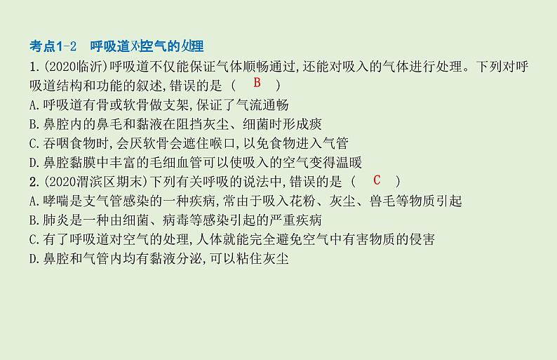 2021年春人教版生物中考教材梳理：第4单元 人体的呼吸  课件08