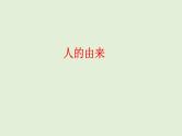 2021年春人教版生物中考教材梳理：第4单元 人的由来  课件