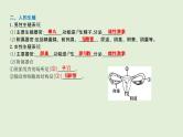 2021年春人教版生物中考教材梳理：第4单元 人的由来  课件