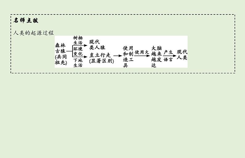 2021年春人教版生物中考教材梳理：第4单元 人的由来  课件08