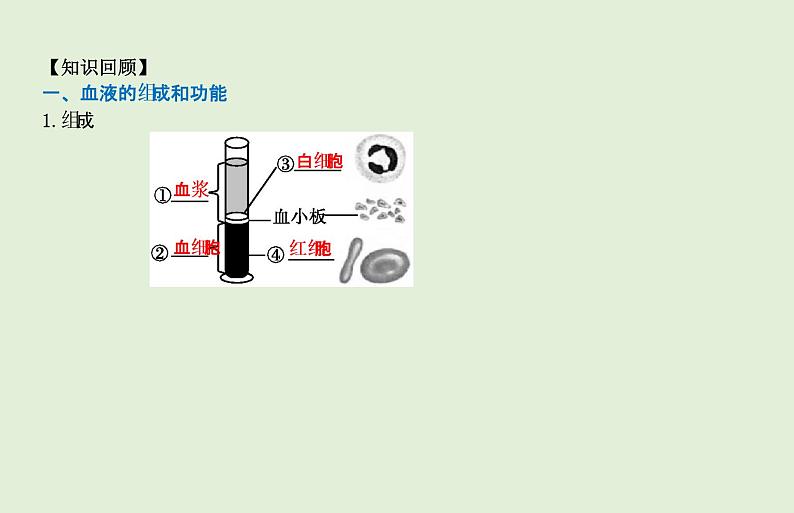 2021年春人教版生物中考教材梳理：第4单元 人体的血液循环  课件02