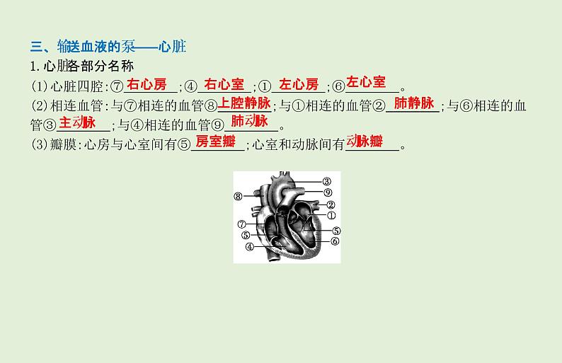 2021年春人教版生物中考教材梳理：第4单元 人体的血液循环  课件05