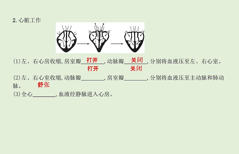 2021年春人教版生物中考教材梳理：第4单元 人体的血液循环  课件06