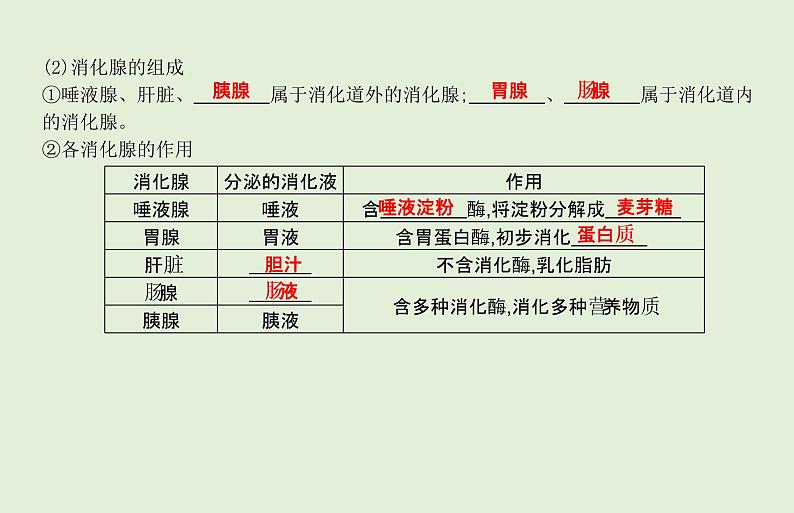 2021年春人教版生物中考教材梳理：第4单元 人体的营养   课件06