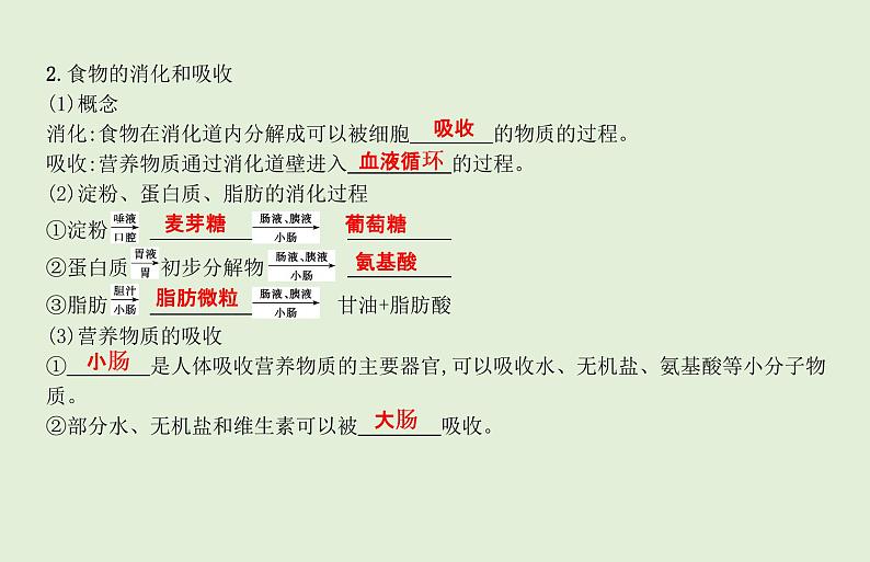 2021年春人教版生物中考教材梳理：第4单元 人体的营养   课件07