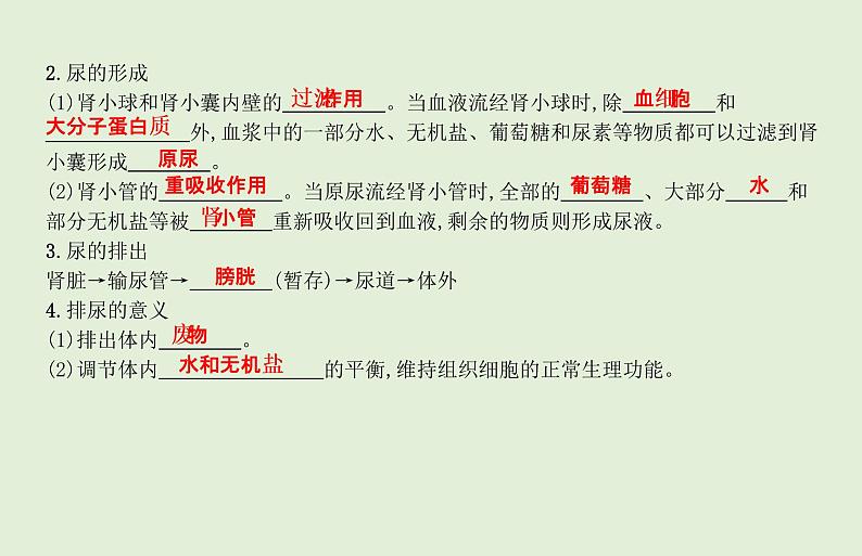 2021年春人教版生物中考教材梳理：第4单元 人体内废物的形成和排出  课件05