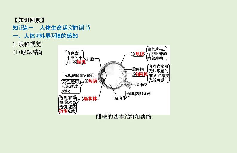 2021年春人教版生物中考教材梳理：第4单元 人体生命活动的调节 人类活动对生物圈的影响  课件02