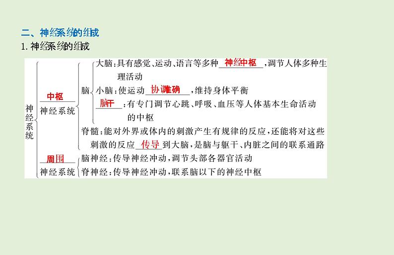 2021年春人教版生物中考教材梳理：第4单元 人体生命活动的调节 人类活动对生物圈的影响  课件06