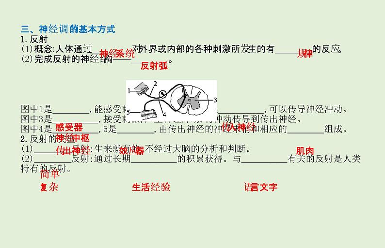 2021年春人教版生物中考教材梳理：第4单元 人体生命活动的调节 人类活动对生物圈的影响  课件08