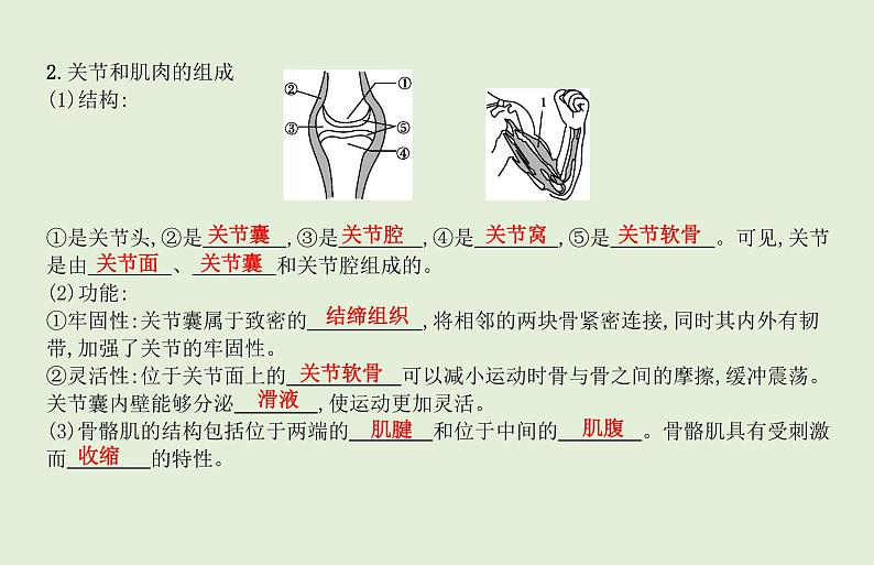 2021年春人教版生物中考教材梳理：第5单元 动物的运动和行为 动物在生物圈中的作用 课件03