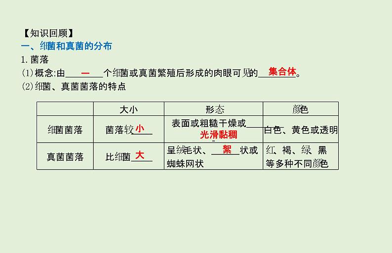 2021年春人教版生物中考教材梳理：第5单元 细菌、真菌和病毒  课件02