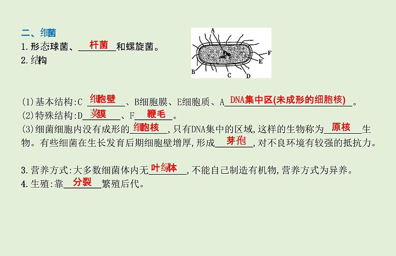 2021年春人教版生物中考教材梳理：第5单元 细菌、真菌和病毒  课件04