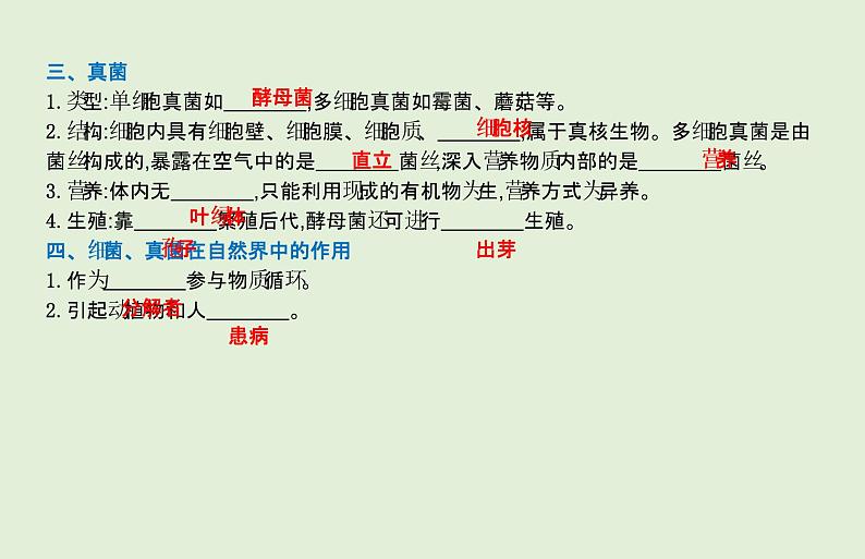 2021年春人教版生物中考教材梳理：第5单元 细菌、真菌和病毒  课件05