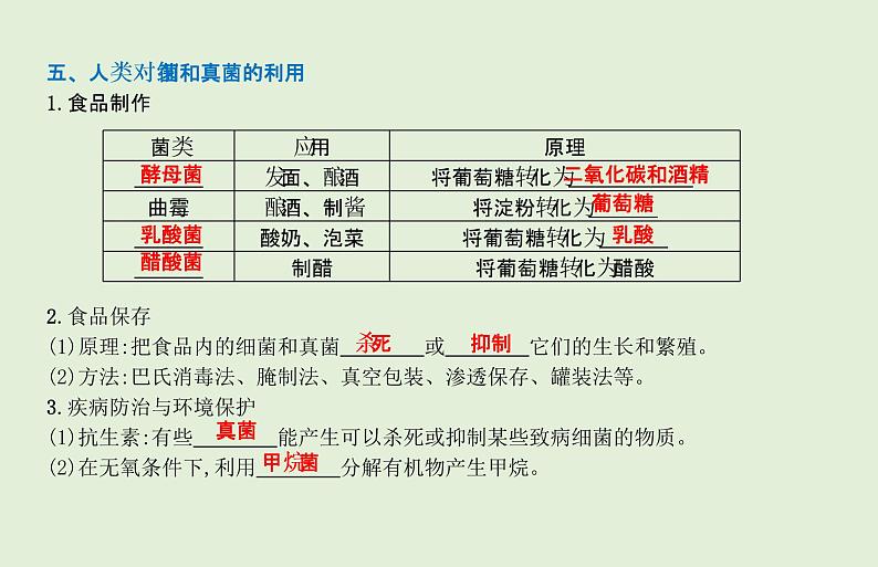 2021年春人教版生物中考教材梳理：第5单元 细菌、真菌和病毒  课件07