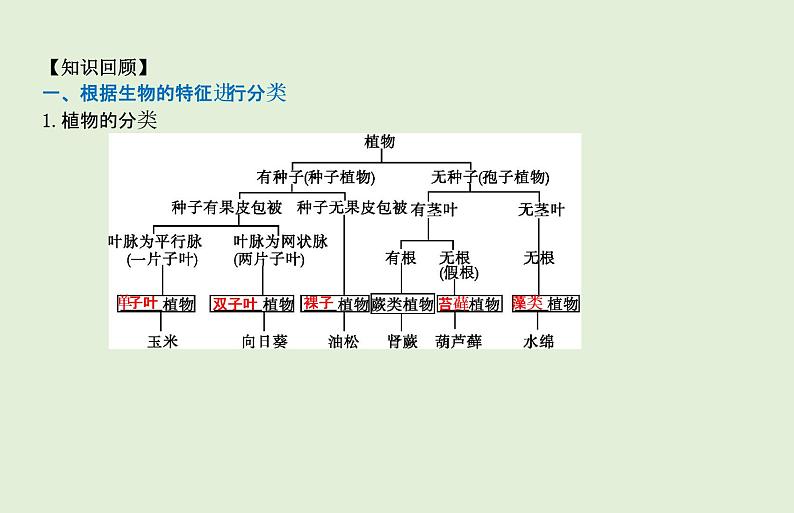 2021年春人教版生物中考教材梳理：第6单元 生物的多样性及其保护  课件02