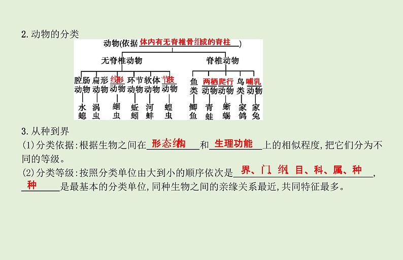 2021年春人教版生物中考教材梳理：第6单元 生物的多样性及其保护  课件03