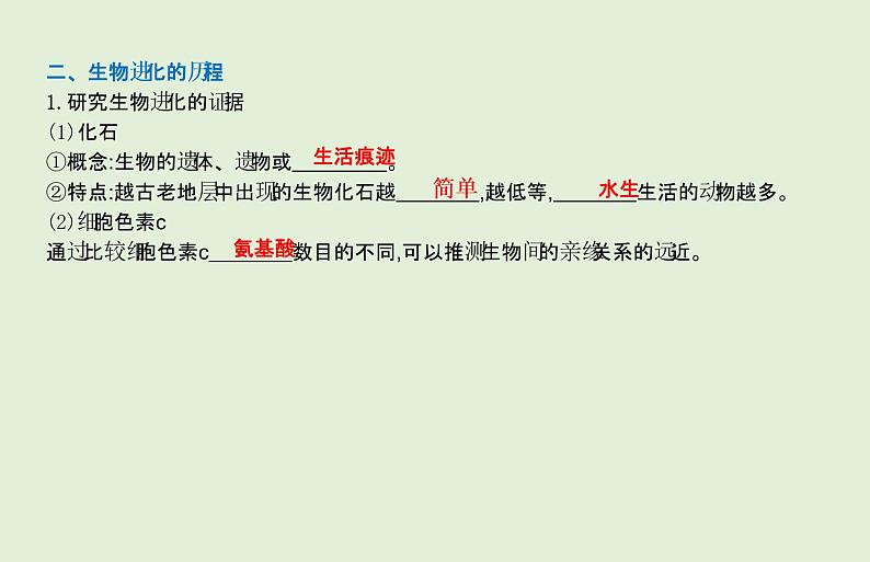 2021年春人教版生物中考教材梳理：第7单元 生命起源和生物进化  课件03