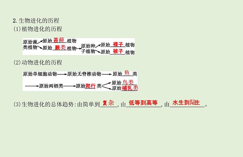 2021年春人教版生物中考教材梳理：第7单元 生命起源和生物进化  课件04