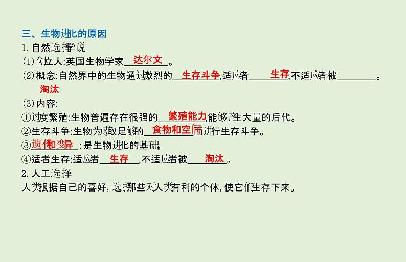 2021年春人教版生物中考教材梳理：第7单元 生命起源和生物进化  课件05