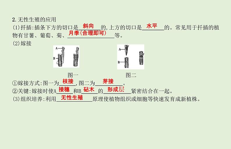 2021年春人教版生物中考教材梳理：第7单元 生物的生殖和发育  课件03