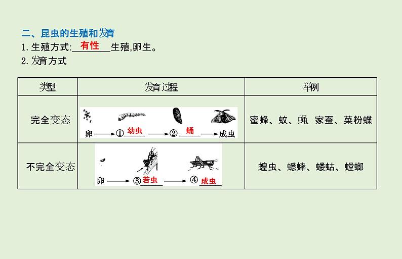 2021年春人教版生物中考教材梳理：第7单元 生物的生殖和发育  课件04