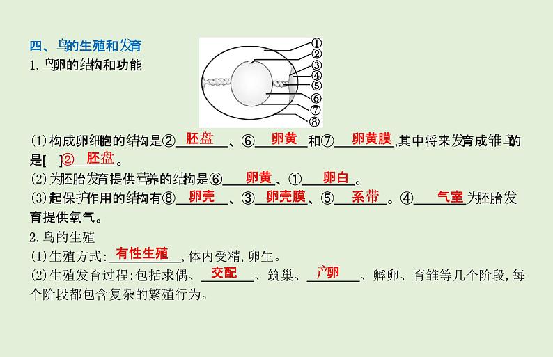 2021年春人教版生物中考教材梳理：第7单元 生物的生殖和发育  课件06