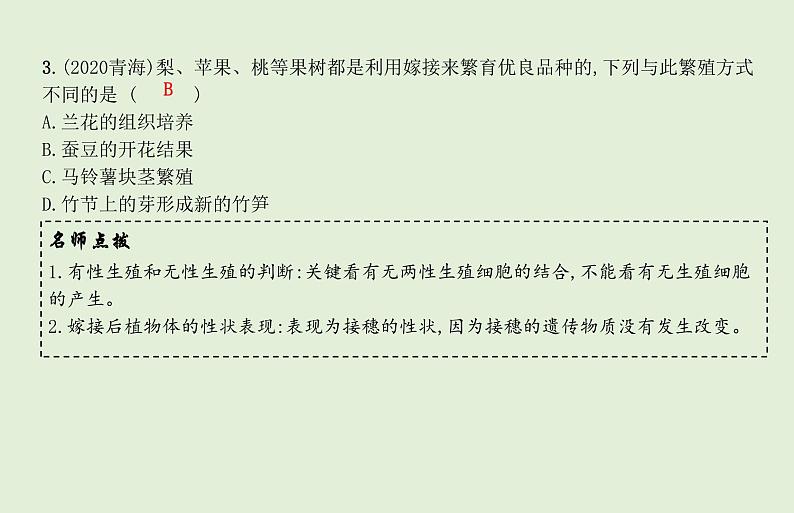 2021年春人教版生物中考教材梳理：第7单元 生物的生殖和发育  课件08