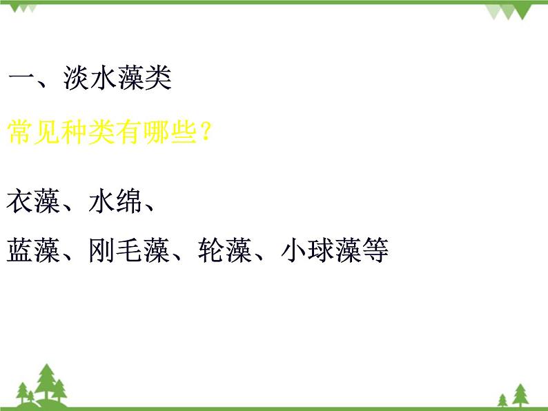 鲁科版（五四学制）生物六年级下册 1.1《藻类植物》ppt课件05